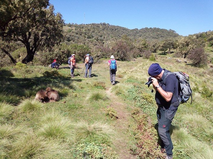 A wonderful 5 days trek in these amazing high Ethiopian lands with a young guide, Sahlie