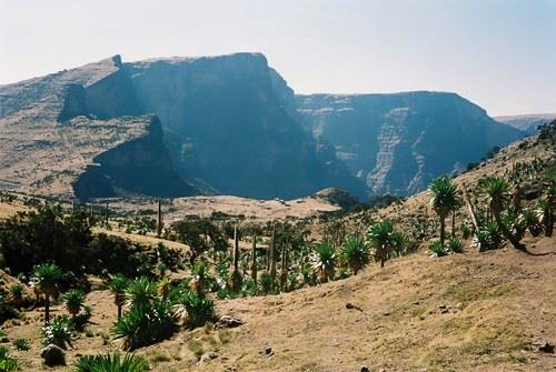 A wonderful 5 days trek in these amazing high Ethiopian lands with a young guide, Sahlie