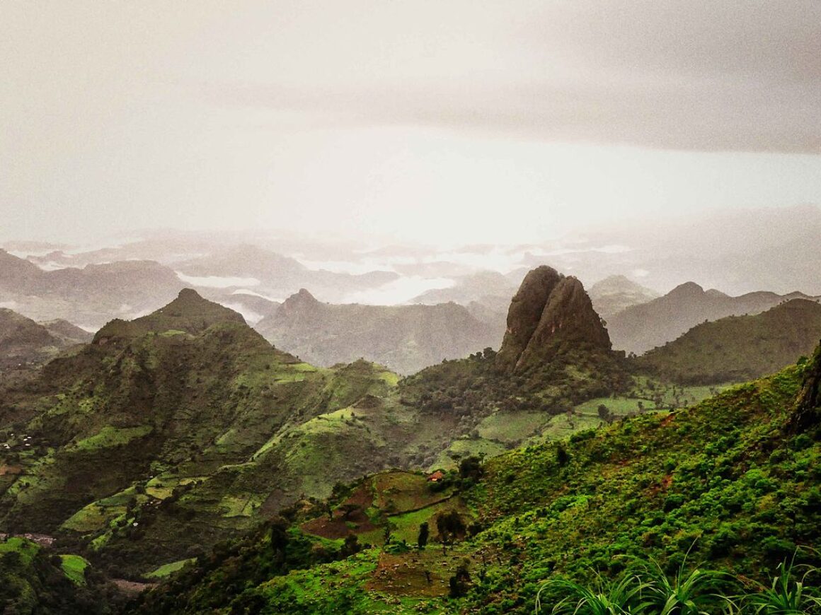 simien